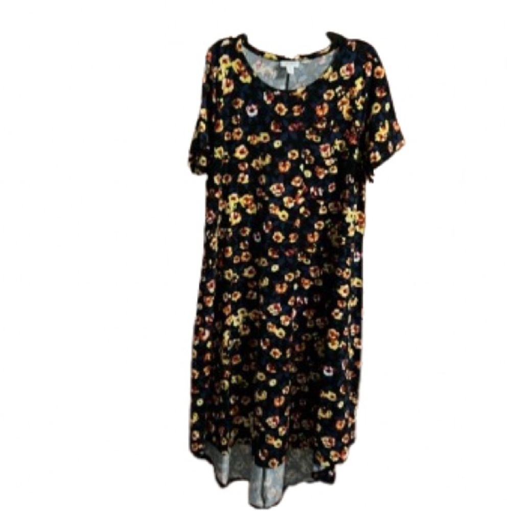 #42 LuLaRoe Carly Medium dress